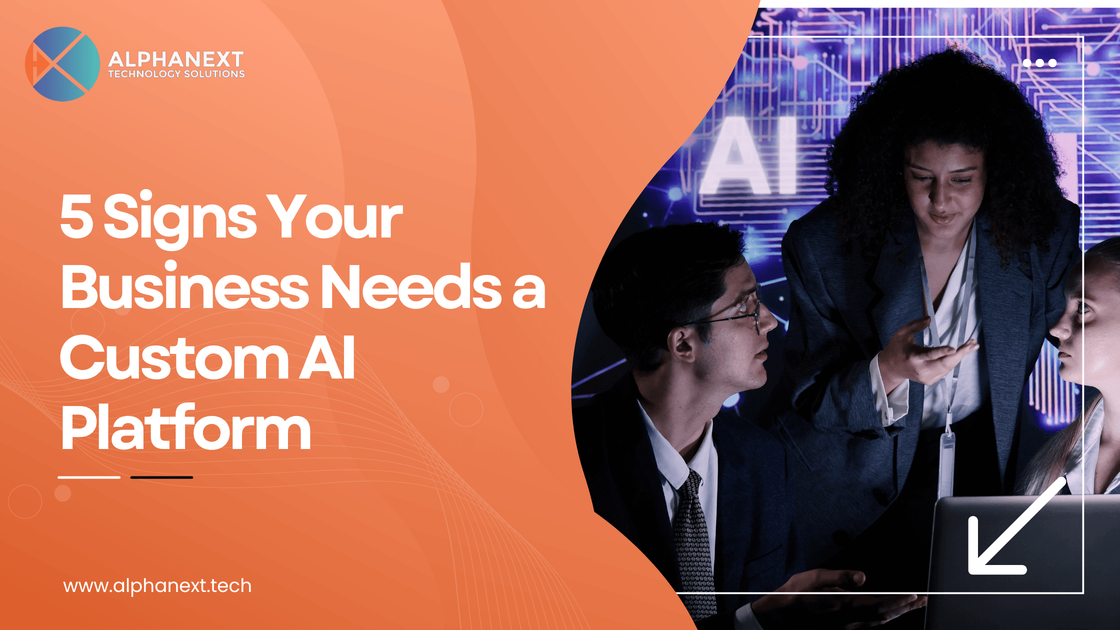 Custom AI Platform development by Alphanext Technology Solutions