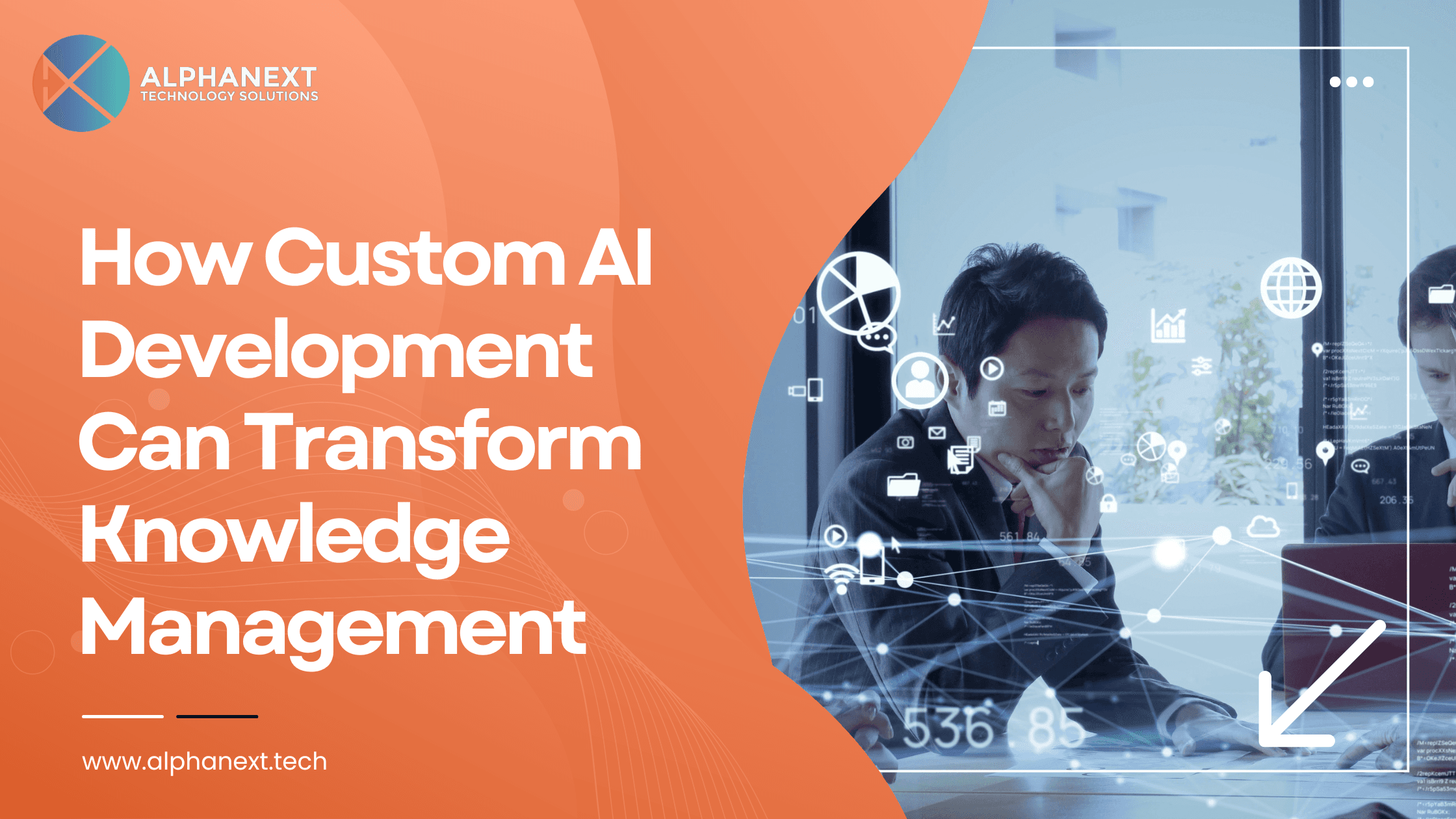 Custom AI Platform development by Alphanext Technology Solutions