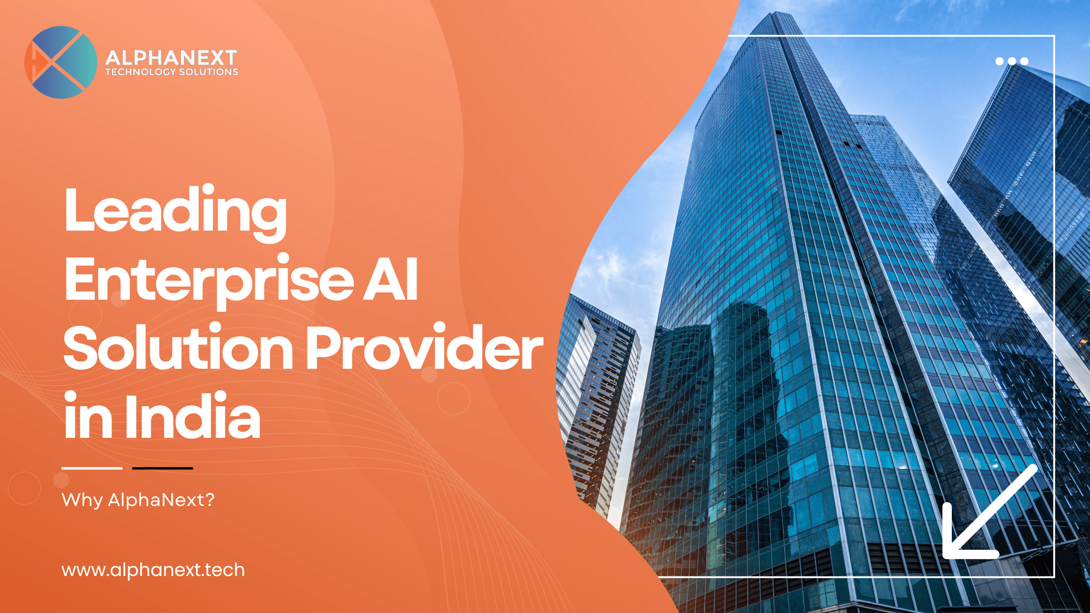 Custom AI Platform development by Alphanext Technology Solutions